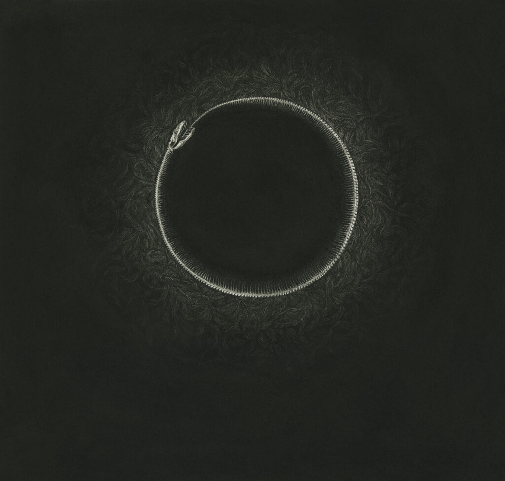 Umbra artwork by Stephanie Inagaki